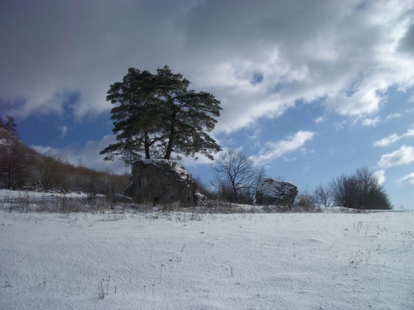 Winterlandschaft auf dem Staffelberg